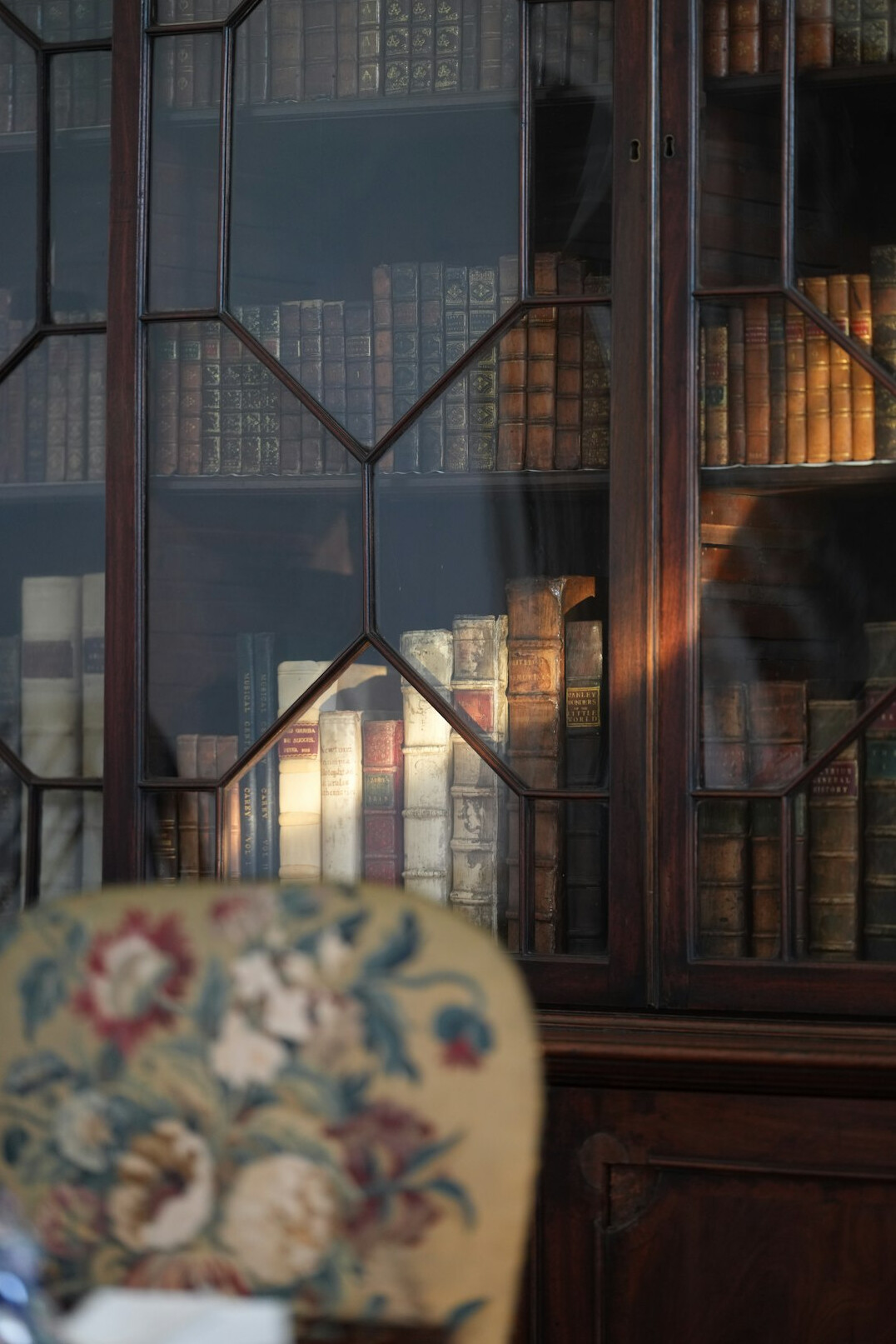 Classic library with tall bookshelves and warm light